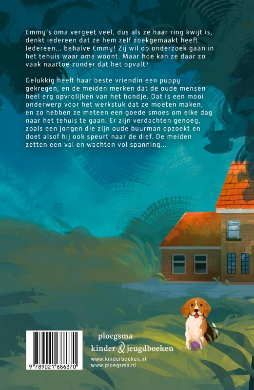 Achterkant van Het raadsel van de verdwenen ring