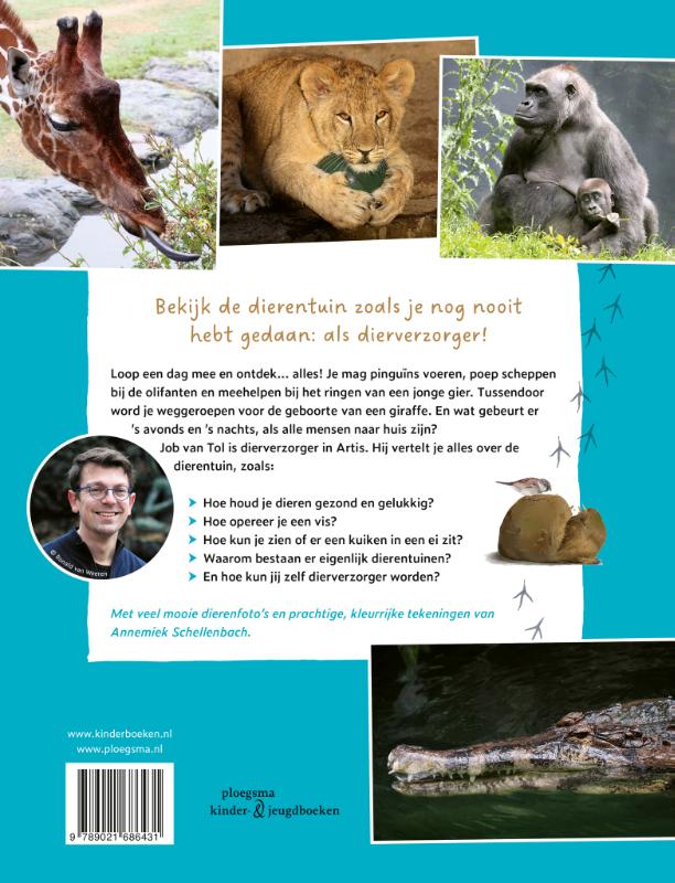 Achterkant van Gieren met de pinguïns
