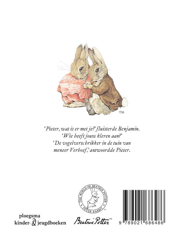 Achterkant van Het verhaal van Benjamin Wollepluis