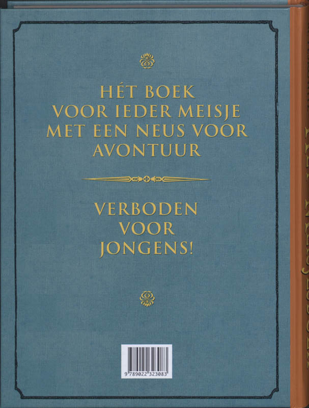 Achterkant van Het Meisjesboek