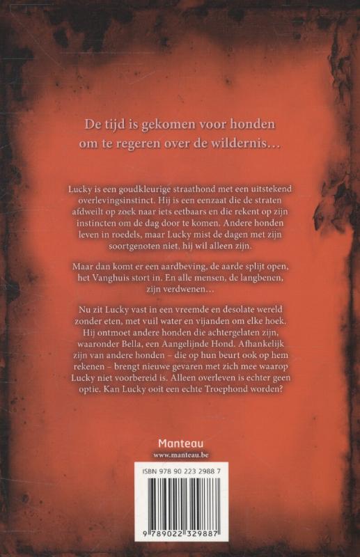Achterkant van De verlaten stad