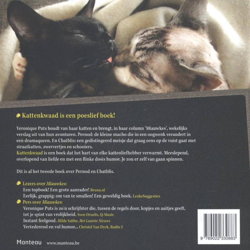 Achterkant van Kattenkwaad