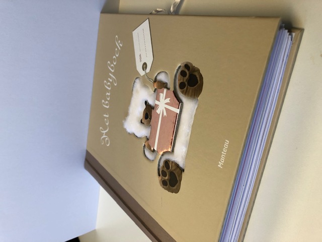 Achterkant van Het babyboek