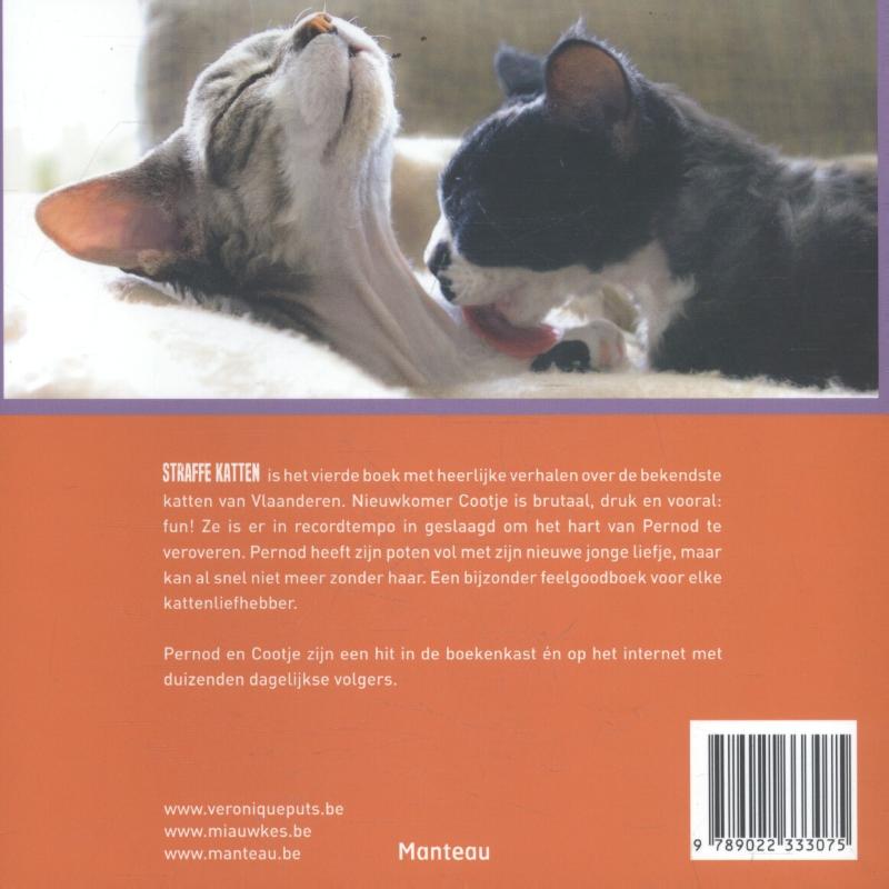 Achterkant van Straffe katten