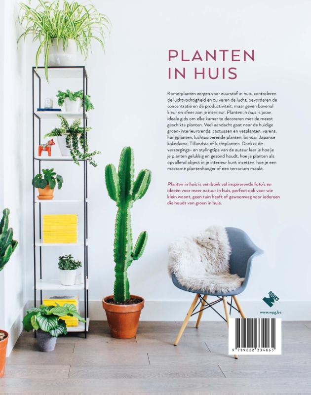 Achterkant van Planten in huis