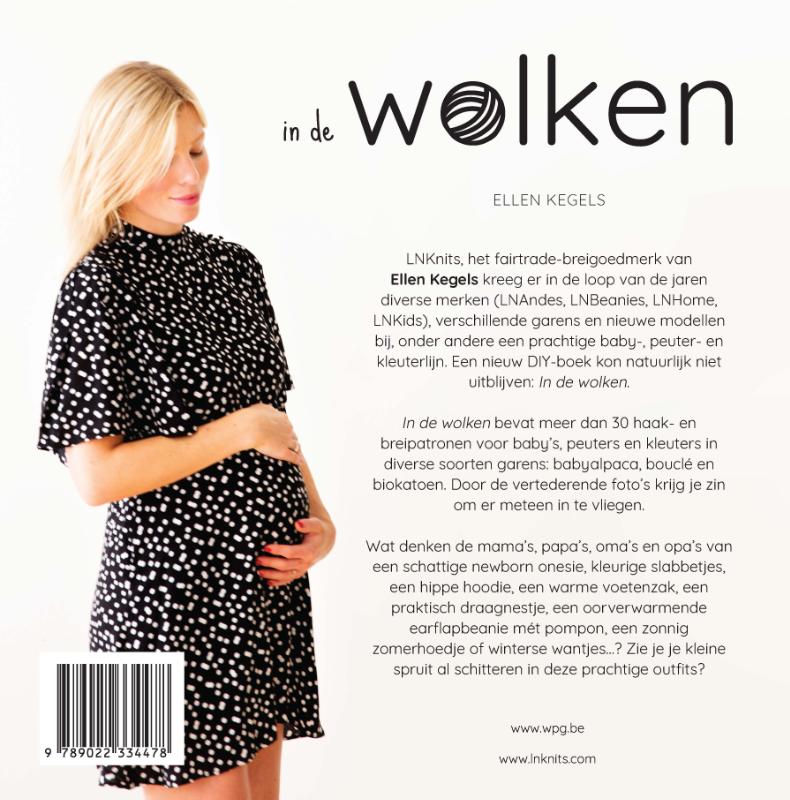 Achterkant van In de wolken