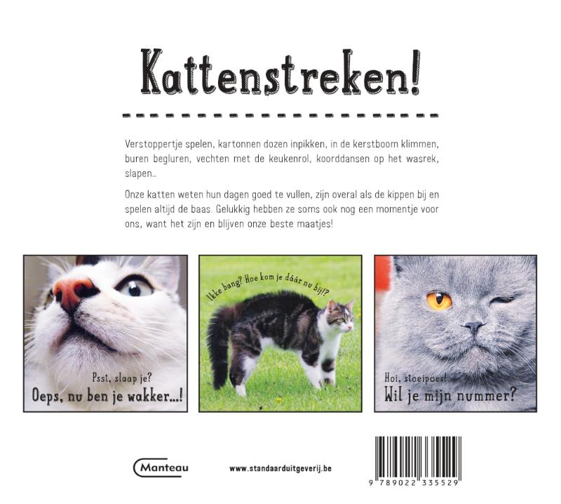 Achterkant van Kattenstreken