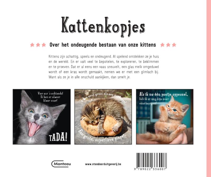 Achterkant van Kattenkopjes