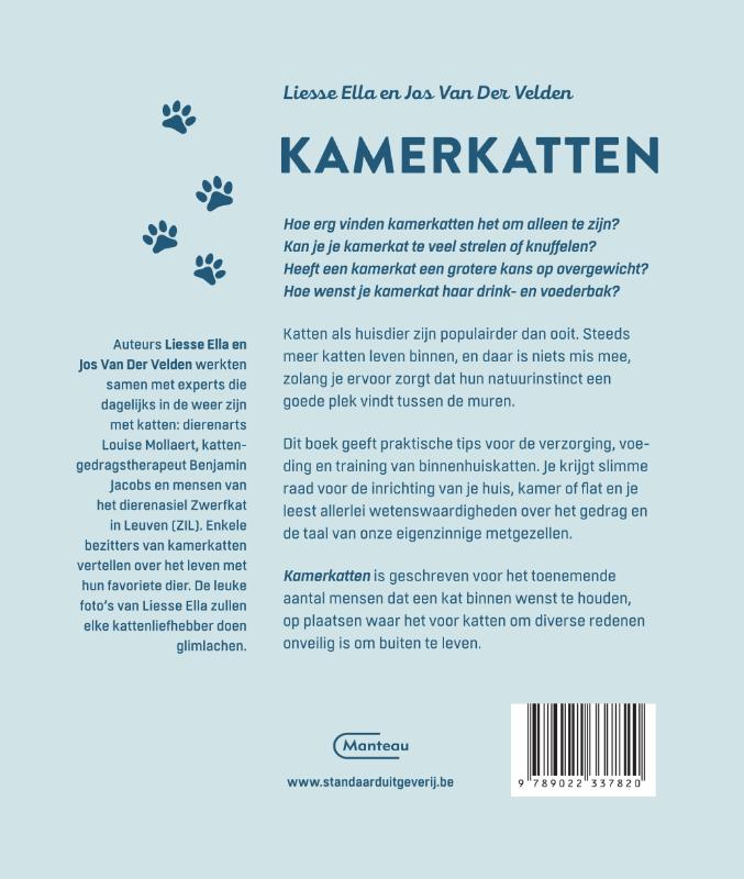 Achterkant van Kamerkatten