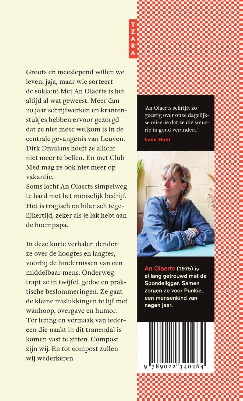 Achterkant van Altijd wat. Kleine mislukkingen van een middelbaar mens