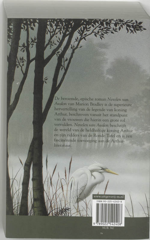Achterkant van Nevelen van Avalon