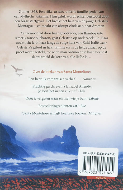 Achterkant van Het geheim van Montague