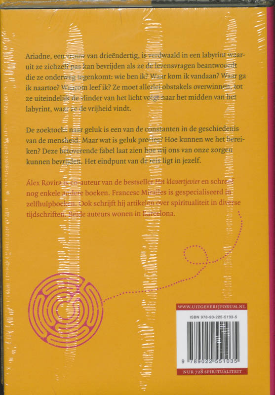 Achterkant van Het labyrint van geluk