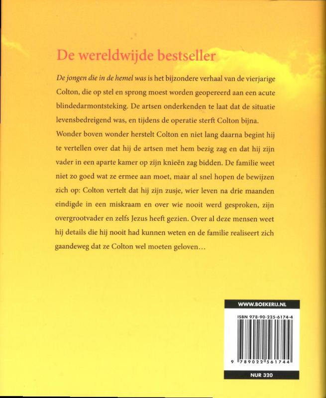 Achterkant van Jongen die in de hemel was