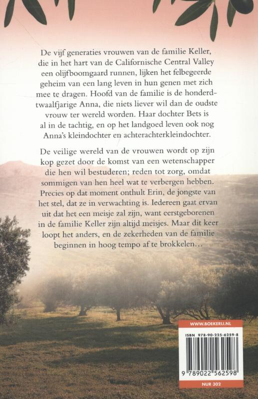 Achterkant van Onder de olijfboom