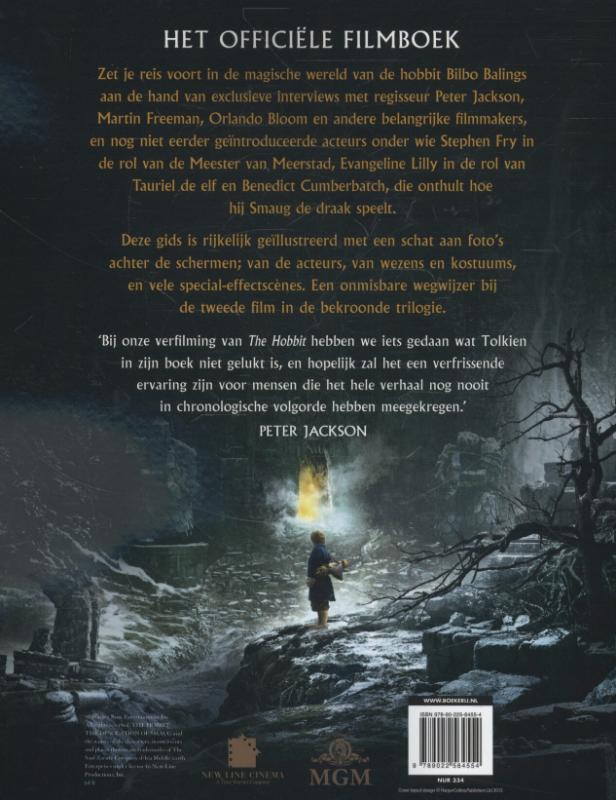 Achterkant van the desolation of Smaug
