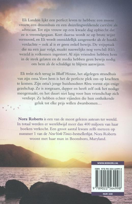 Achterkant van Het strandhuis
