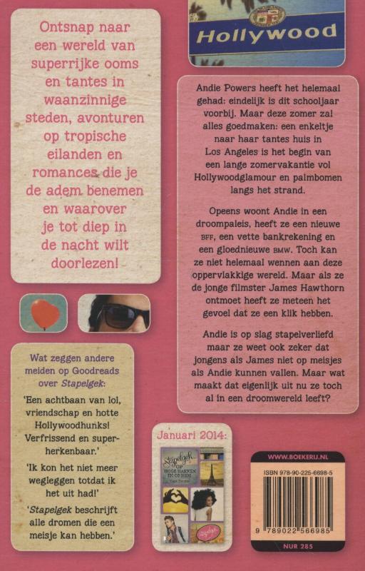 Achterkant van Stapelgek op Mr. Wrong