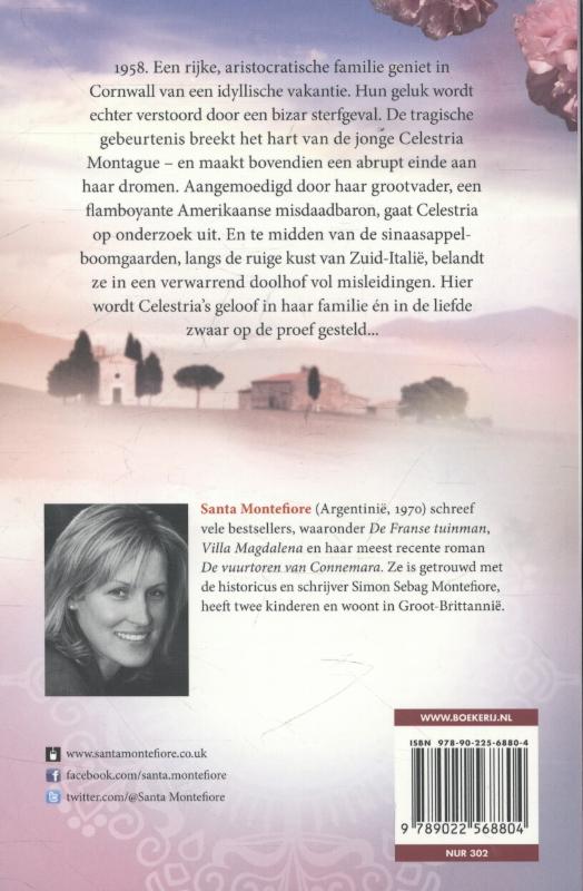 Achterkant van Het geheim van Montague