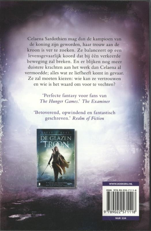 Achterkant van De donkere kroon