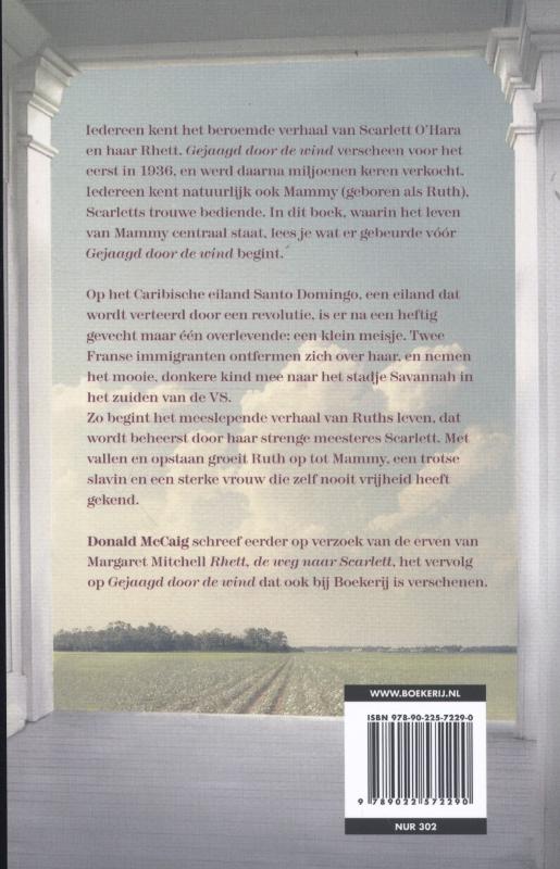 Achterkant van De reis van Ruth
