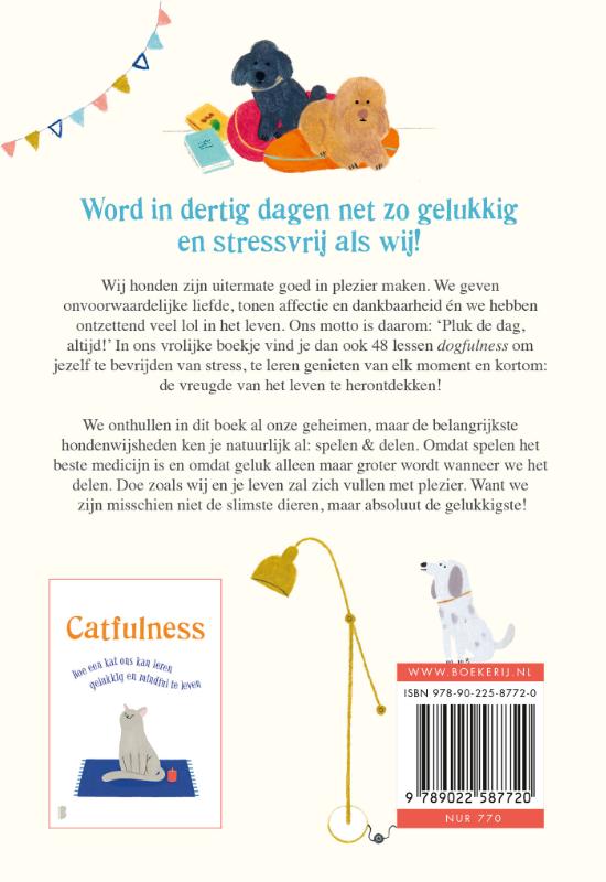 Achterkant van Dogfulness