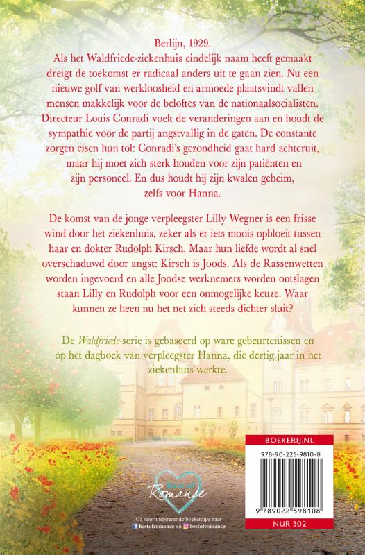 Achterkant van Lichtpunt