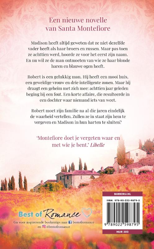 Achterkant van De kus