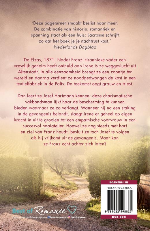 Achterkant van Door de donkere nacht