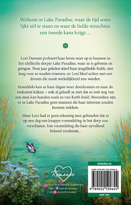 Achterkant van Het huis in Lake Paradise