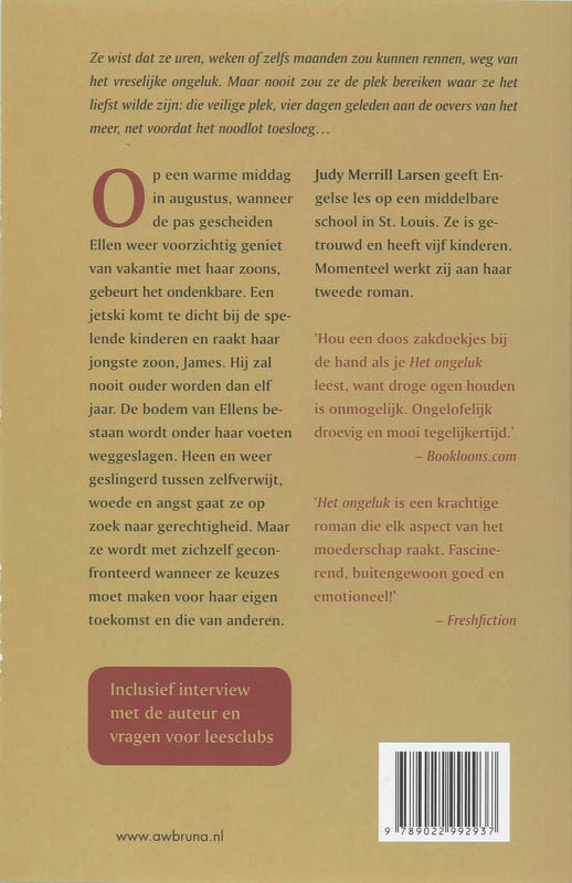 Achterkant van Het ongeluk