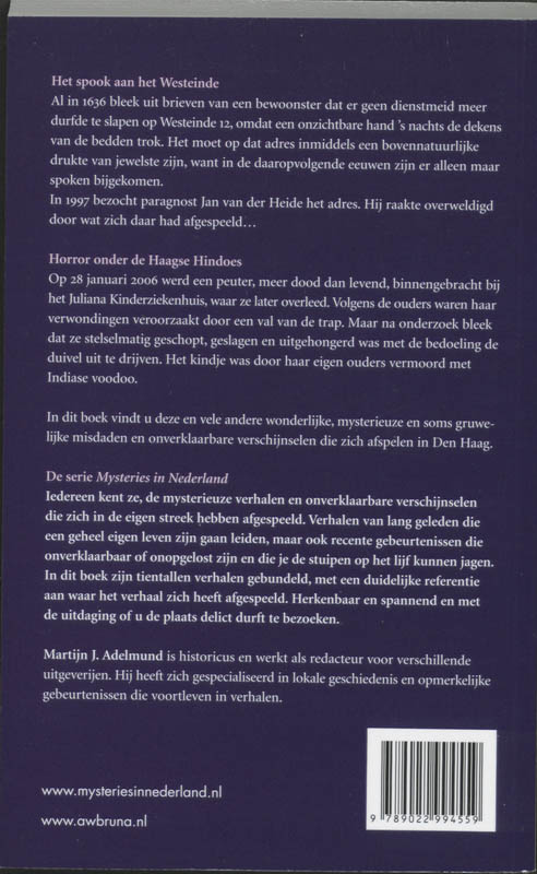 Achterkant van Den Haag