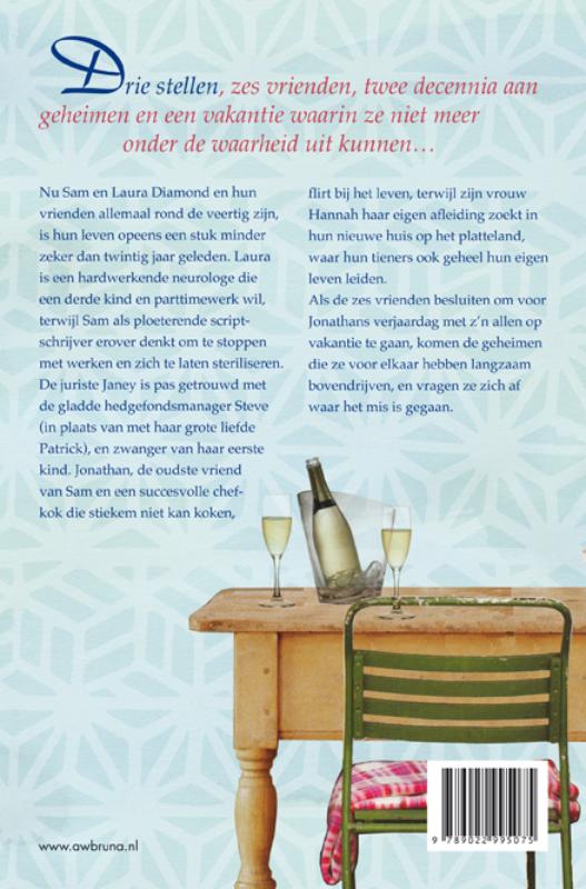 Achterkant van Vriendschap, liefde en andere stommiteiten