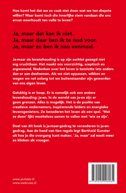 Achterkant van Ja-maar wat als alles lukt?
