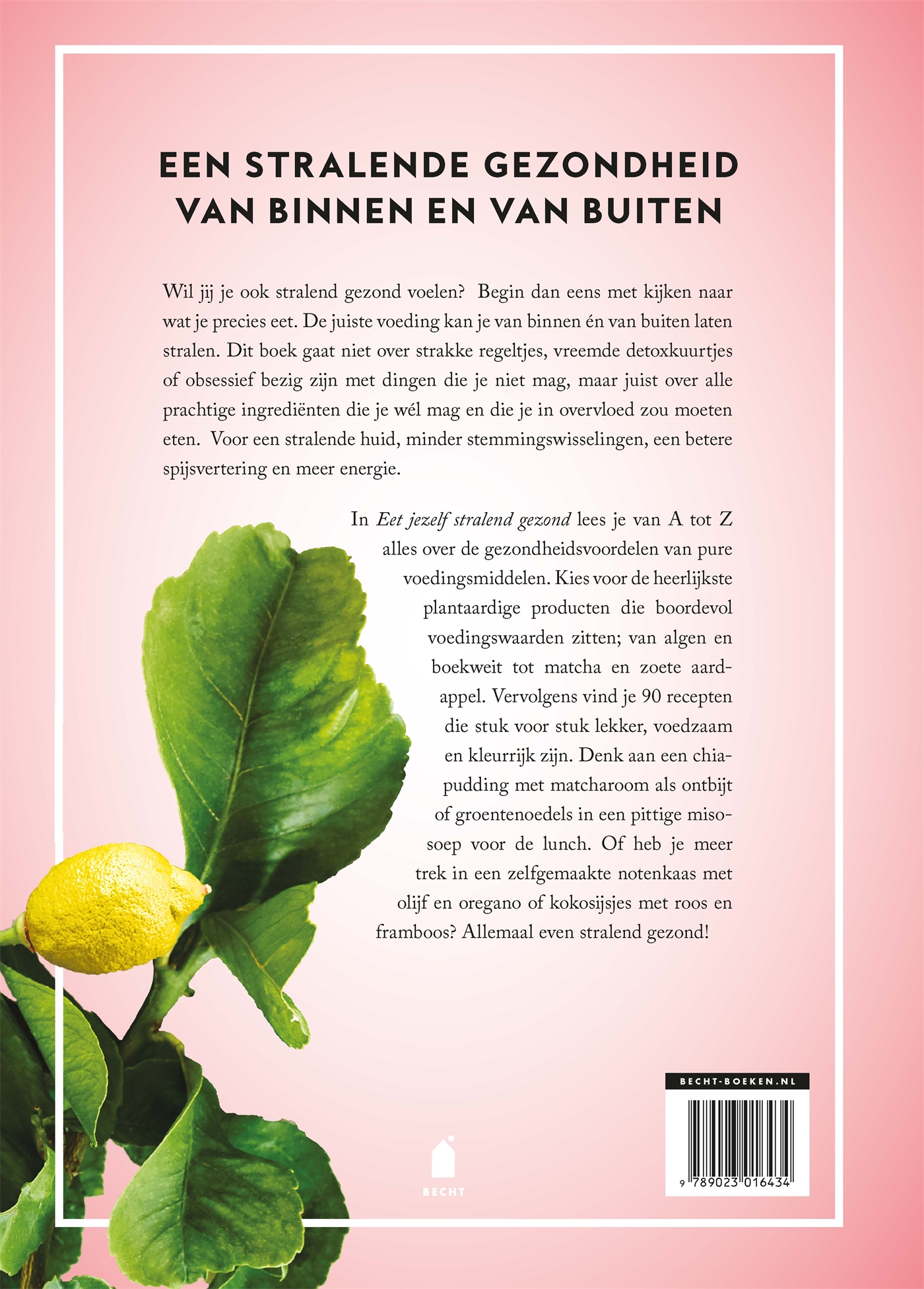 Achterkant van Eet jezelf stralend gezond
