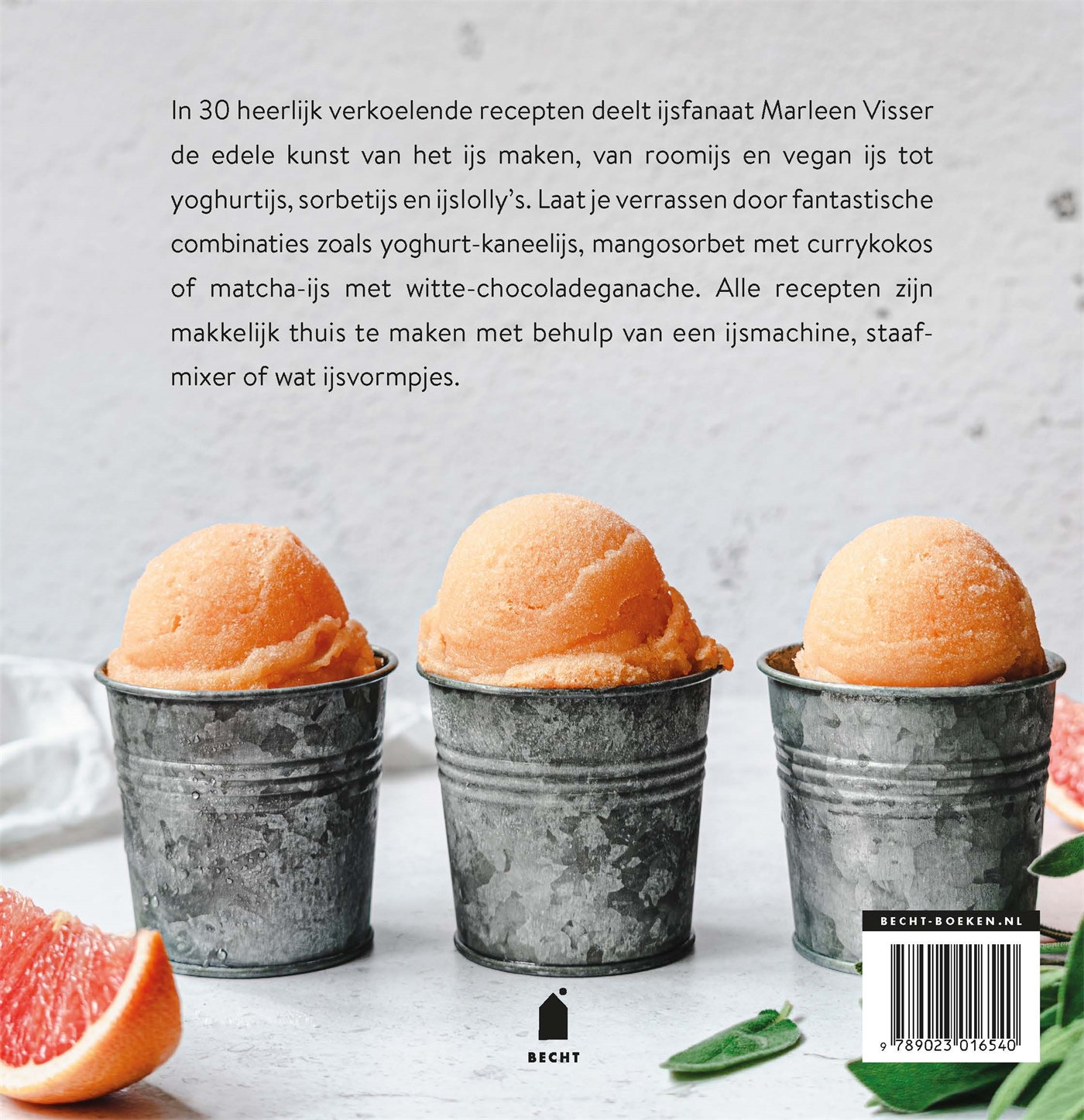 Achterkant van IJs