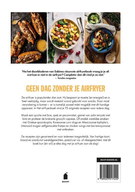 Achterkant van Het airfryerboek