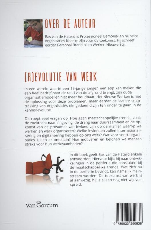 Achterkant van (R)evolutie van werk