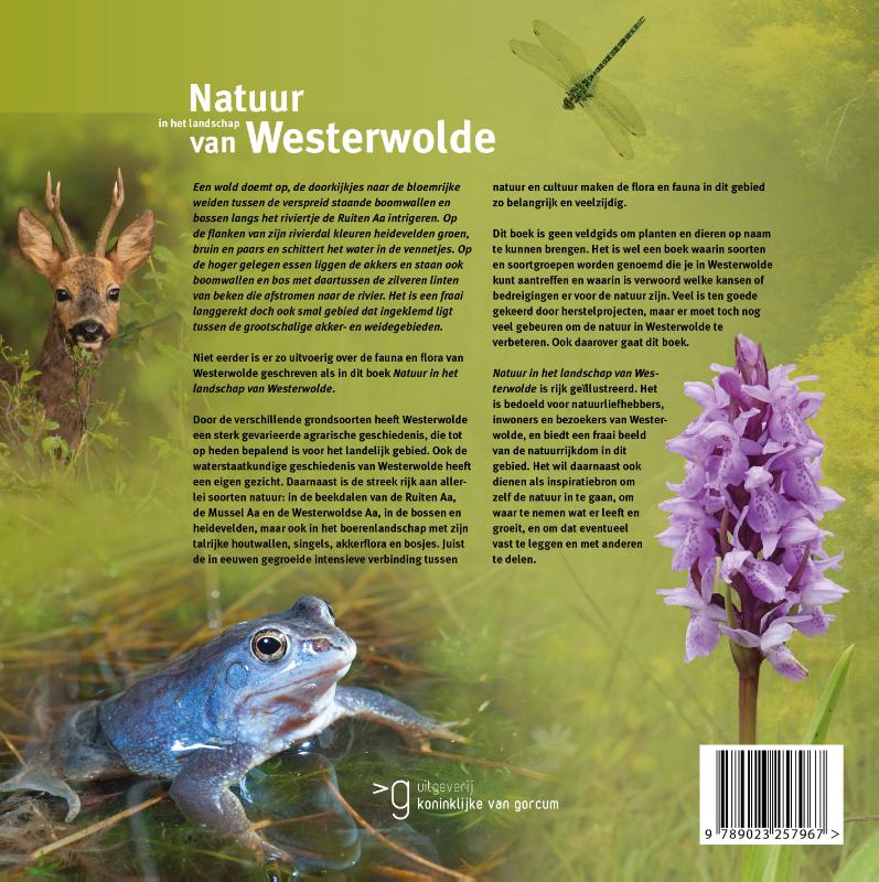 Achterkant van Natuur in het landschap van Westerwolde