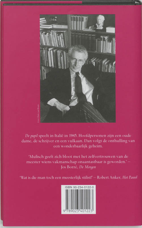 Achterkant van De pupil
