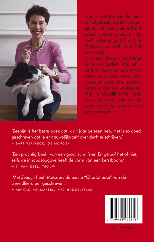Achterkant van Zeepijn