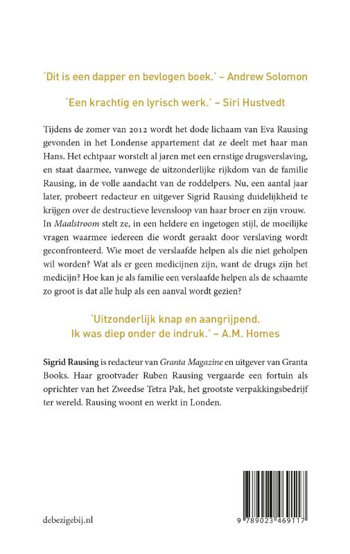 Achterkant van Maalstroom