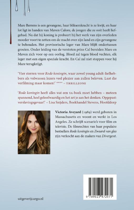 Achterkant van Koningsval