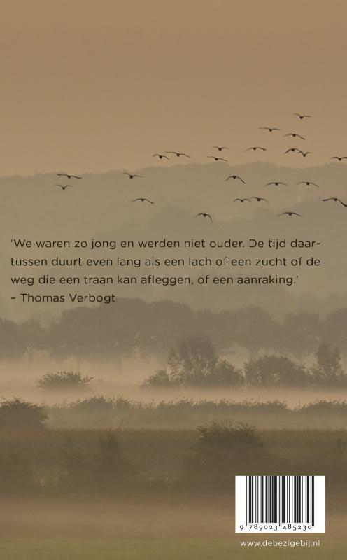 Achterkant van Het eerste licht boven de stad