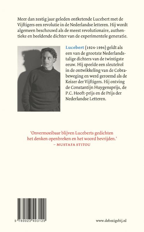 Achterkant van Van de afgrond en de luchtmens