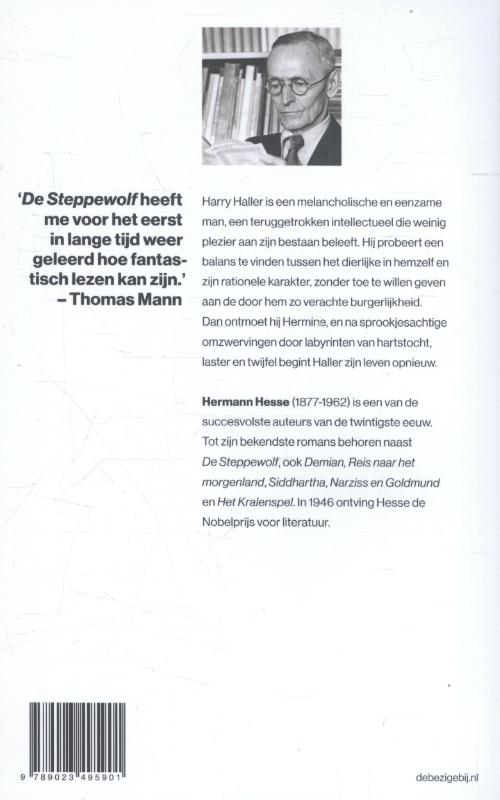 Achterkant van Steppewolf