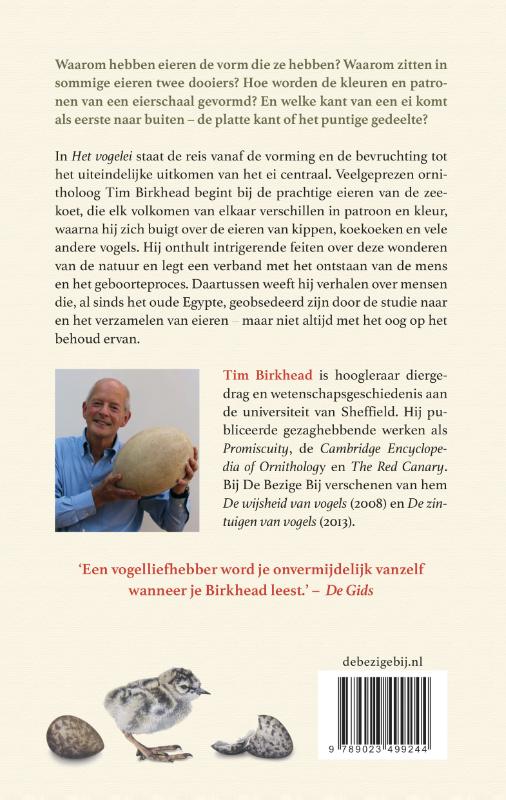 Achterkant van Het vogelei