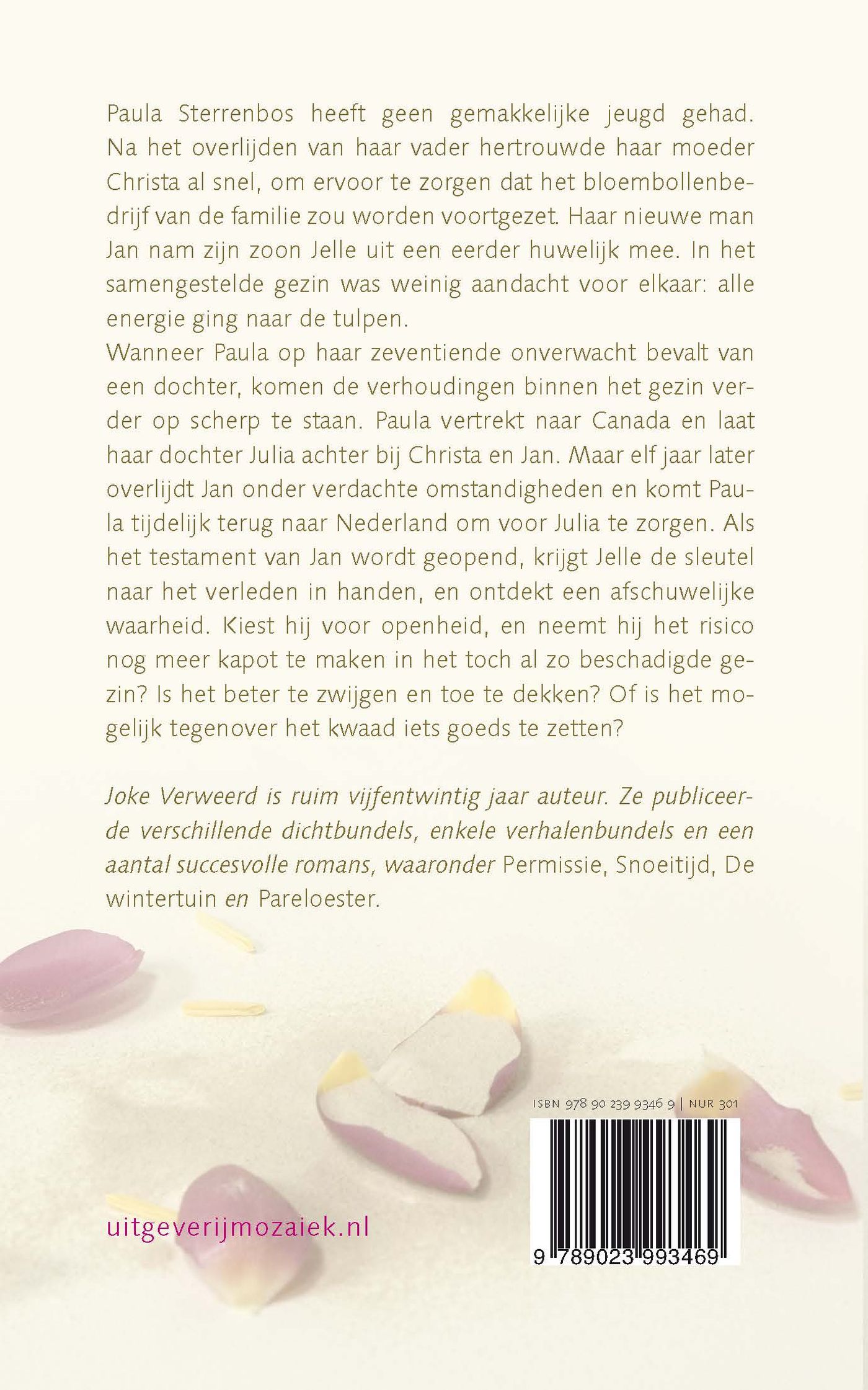 Achterkant van Stuifzand