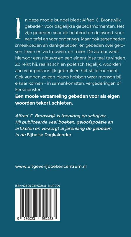 Achterkant van Ladders naar de hemel