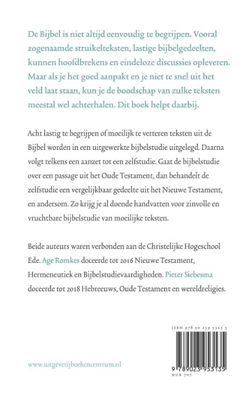 Achterkant van Struikelblokken